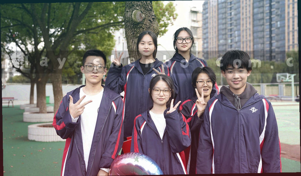 从左侧主干分出六条支线的抽象分支图，节点以印刷圆点标注，无任何品牌标识